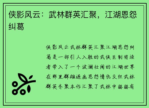 侠影风云：武林群英汇聚，江湖恩怨纠葛